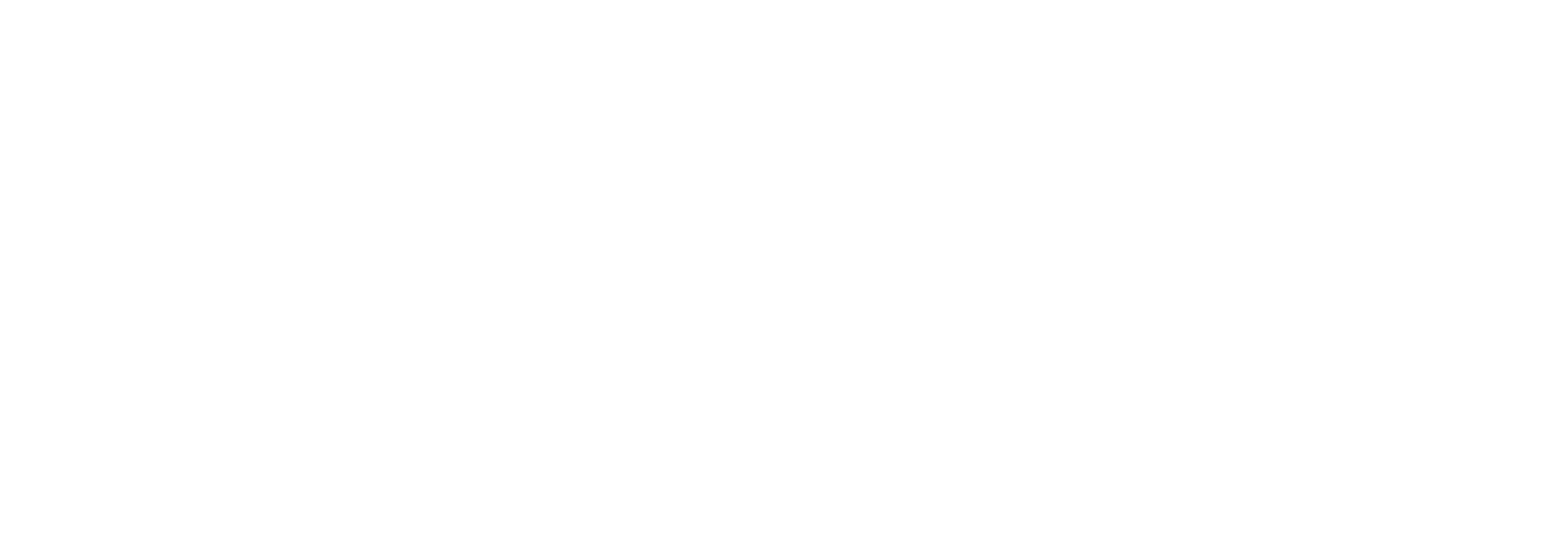 American Automotive Summit 21